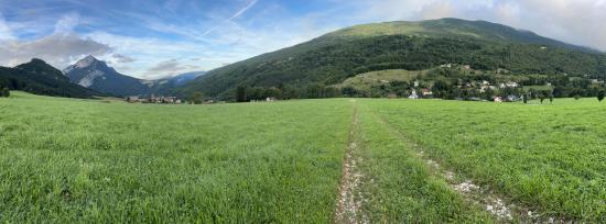 IMG_7408.HEIC_compressed.JPEG